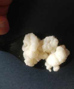 Live Milk Kefir Grains - Live Probiotic Culture 44 71EffrUbpeL