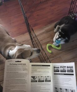 Starmark Pro-Training Clicker for Dogs 1 Count 30 71EfhJhyhIL