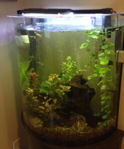 Seachem Flourish Potassium 500ml One size 38 71Efkeq0cmL