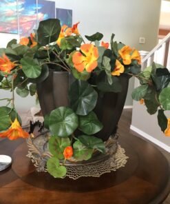 Nearly Natural 6025 22in. Nasturtium Silk Hanging Basket,Gold,29" x 10.25" x 10.25" 38 71EhLngI0lL