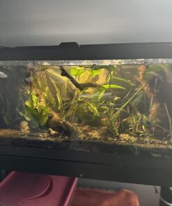 Seachem PhosGuard, 100 mL bagged - 67101850 22 71EjcfF3UUL