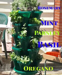 Mr. Stacky 1305-HG 5-Tier Stackable Strawberry, Herb, Flower, & Vegetable Planter - Vertical Gardening Indoor / Outdoor Stacking Garden Pots Hunter Green, 22.5 Quarts 20 71ElBxqoTL