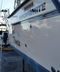 Meguiar's Flagship Premium Cleaner Wax M6132 - Pro-Grade Boat and RV Cleaner Wax for Fiberglass & Gel Coats - Remove Defects, Boost Gloss and Apply Long-Lasting Protection All in One Step, 32 Oz Cleaner/Wax 29 71ElvING9L