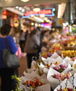 Meike 50mm F1.7 Full Frame Manual Focus Prime Lens Compatible with Z Mount Cameras Z5 Z6 Z7 Z30 Z50 50 71Ent108LYL