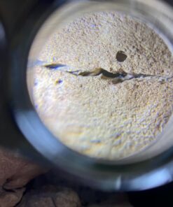 40X Full Metal Illuminated Jewelry Loop Magnifier, XYK Pocket Folding Magnifying Glass Jewelers Eye Loupe with LED(LED Currency Detecting/Jewelry Identifying) 1 40 71Eo678RjL