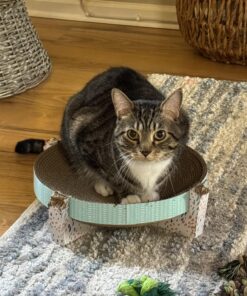 Catstages Scratch, Snuggle & Rest Corrugated Cat Scratcher With Catnip (packaging may vary) Scratch Snuggle & Rest 34 71EpWBHfJmL