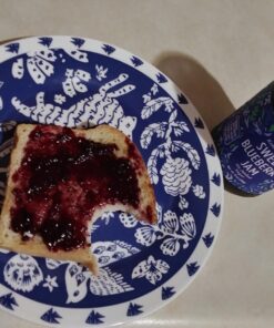 GOOD GOOD No Added Sugar Blueberry Jam - Keto Friendly Jelly - Low Carb, Low-Calorie and Vegan - Diabetic Friendly - 12oz / 330g (Pack of 1) 12 Ounce (Pack of 1) 35 71EqD639SDL