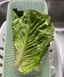 OXO Good Grips GreenSaver Produce Keeper - Large,White 61 71Eqj9bVRRL