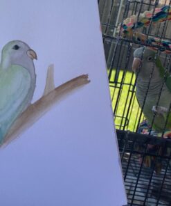 Bellofy Multimedia Sketchbook 100 Sheets | Mixed Media Paper for Drawing & Painting | Drawing Paper for Artists, Beginners & Kids | Sketchbook Mixed Media for Acrylic, Watercolor, Graphite & More 62 71ErAtOefL