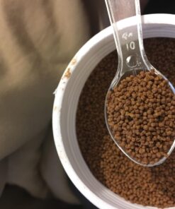 Ocean Nutrition Betta Pellets 2.65-Ounces (75 Grams) Jar 2.64 Ounce (Pack of 1) 38 71EtOetMYtL