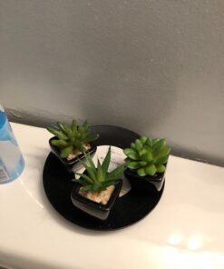 MyGift Set of 3 Faux Succulents in Mini Square Pots - Modern Home Decor Succulent Artificial Plants with Black Ceramic Planter Pot 27 71EuZ58ntNL