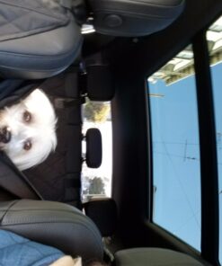 BarksBar Pet Car Seat Cover with Seat Anchors for Cars, Trucks and SUV's, Water Proof and Non-Slip Backing Regular, Black Standard 47 71EvHv9kWhL