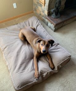 NUTRO NATURAL CHOICE Adult Dry Dog Food, Chicken & Brown Rice Recipe Dog Kibble, 30 lb. Bag 30 Pound (Pack of 1) 36 71EyCwSxGnL