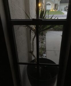 Brizled Solar String Lights, 2 Pack Each 66ft 200 LED Solar Fairy Lights, 8 Modes Outdoor Solar Fairy Lights String with Memory, Waterproof Solar Twinkle Lights for Christmas Garden Party, Warm White 30 71EyS5 d1YL