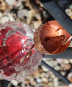 Skinny Ant Moat with Guard for Hummingbird Feeders - Gets Rid of Ants Fast in Nectar Feeder. All Natural & No Chemicals Needed. 30 71F U frIvL