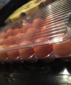 iDesign Plastic Egg Holder for Refrigerator with Handle and Lid, Fridge Storage Organizer for Kitchen, Set of 1, Clear 48 71F l0Cfj3L