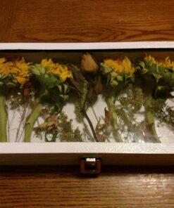 FindingKing Black Jewelry Travel Showcase Display Glass Lid Case 17 71F0o 0scbL