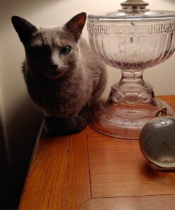 Bear Naked Granola Cereal, Breakfast Snacks, Fruit and Nut (6 Bags) 21 71F1Z1ykIoL