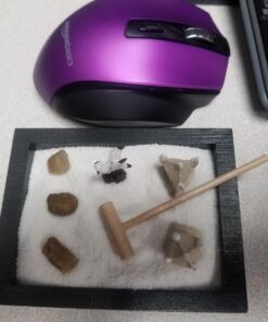 Toysmith Mini Zen Garden - Colors May Vary 1 34 71F1xvvEEJL