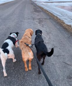 Heavy Duty 3 Dog Leash No Tangle Multiple Dog Leash Triple Dog Leash(30-200 Lbs) Double Dog Leash for 2 Dogs,360°Swivel 3 Way Dog Leash Interchangeable Two Dog Leash with Hand-Protected Handle L / For 20LBs - 150LBs Dogs Black 35 71F39rntPYL