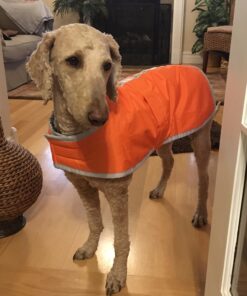 Zack & Zoey Nor'easter Blanket Coat for Dogs, 20" Large, Orange 1 L (Neck: 17", Girth: 28", Back: 20") 39 71F51x7vI8L 3