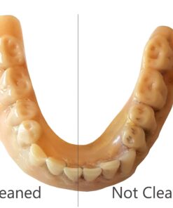 iSonic F3900 Ultrasonic Denture/Aligner/Retainer Cleaner for all dental and sleep apnea appliances, 110V 20W (tank no longer removable) , White , 0.4Pt/0.2L 01.F3900, AC110V 32 71F5aRNyO9L