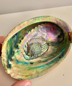 Smudge Kit - White Sage, Palo Santo, Abalone Shell, Smudging Feather, for Healing, Purifying, Meditating & Incense (Essentials) 34 71F62NNDmpL 1