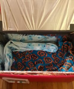 Kangaroo Emergency Thermal Blankets (Pack of 10) Original Version 19 71F6lP2tFFL