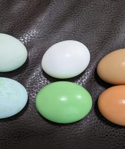 SallyFashion 7 Pcs Wooden Fake Eggs, 3 Colors Wooden Easter Egg Wood Eggs for Crafts Fake Chicken Eggs Nesting Eggs Easter Home Decor 40 71F7Jh4abL