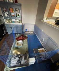 Kaytee Pet-N-Playpen with Mat for Pet Rabbits, Guinea Pigs, Ferrets or Other Small Animals 33 71F8svfHcEL