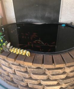 API POND STRESS COAT Pond Water Conditioner 32-Ounce Bottle Water Treatment 20 71F9eFISDNL