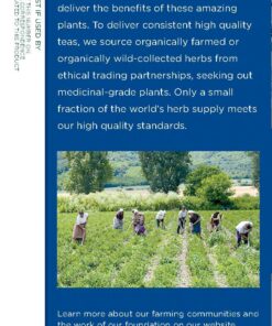 Traditional Medicinals Tea, Organic Nighty Night Extra, Promotes a Good Night's Sleep, 16 Tea Bags Lemon 16 Count (Pack of 1) 25 71F9gQrNkHL