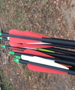 ANTSIR 30 Inch Carbon Arrows Practice Targeting Arrows with Removable Tips for Compound and Recurve Bow(Pack of 12) A-Red White 38 71FADsIQczL