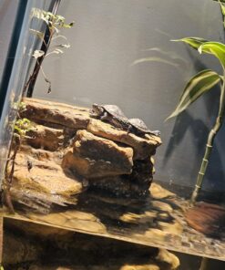 Tetra Decorative ReptoFilter, Terrarium Filtration, Keeps Water Clear 36 71FAhIzkv8L