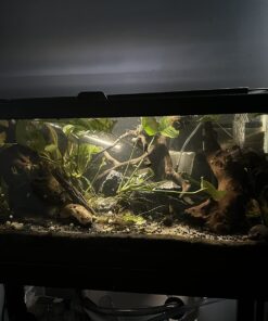 Seachem PhosGuard, 100 mL bagged - 67101850 23 71FFWDm2HJL