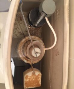 American Standard 3280.040-0070A 4-Inch Flush Valve Assembly for Champion One Piece Toilets, Black 15 71FGgJ5qM7L