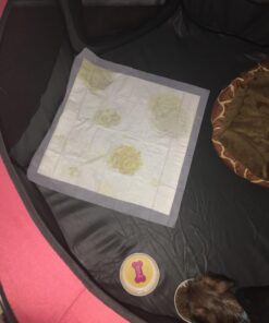 Hartz Home Protection Lavender Scented Dog Pads, 50 count, Super Absorbent & Won't Leak, Odor Eliminating 21 x 21 (50 count) 35 71FGgQArqsL 2