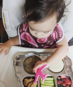 Innobaby Stainless Bus Plate with Airtight Sectional Lid, The Original, Leak-Resistant Divided Platter, Mom Invented Fun Shape Plate Din Din Smart for Babies, Toddlers and Kids, BPA Free Plate, Blue 40 71FI8FpbuxL