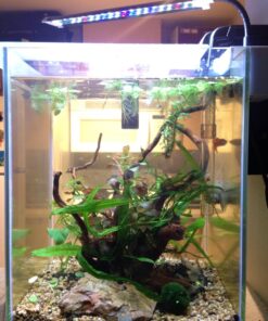 Fluval Chi II Series Aquarium Set, 5-Gallon - Aquarium Tank with Ambient LED Lighting, Flowing Water, and Elegant Design, White 5 gal 59 71FKssKJ9zL