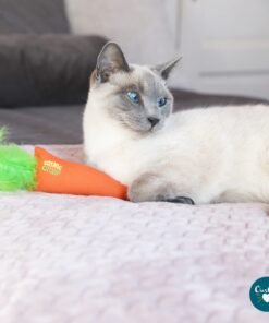 OurPets 100-Percent North American Catnip Filled Carrot Cat Toy 24 Karat OurPets 100-Percent Premium North- American Grown Cosmic Catnip Cat Toy 29 71FLYEuMegL
