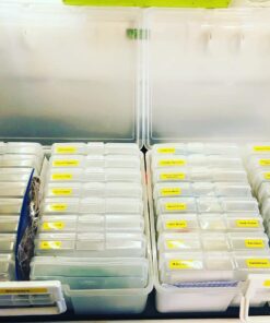 IRIS Extra Large 4" x 6" Photo and Embellishment Craft Keeper, 2 Pack, Clear 36 71FLb s AGL