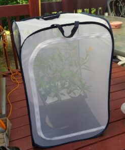 RESTCLOUD Insect and Butterfly Habitat Cage Terrarium Pop-up 23.6 Inches Tall White With Black 15.7 x 15.7 x 23.6 inches 32 71FM3YHiABL