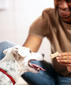 Milk-Bone Original Dog Biscuits, Medium Crunchy Dog Treats, 10 Pound 27 71FNR3BzkmL