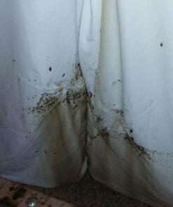 Linenspa Box Spring Encasement King, Complete Protection with Zipper, Waterproof Box Spring Protector King, White 10" Depth 15 71FP EfCvgL