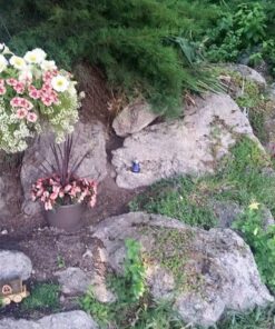 StealStreet SS-G-71155 Wizard Magician Collectible Fantasy Decoration Figurine Statue Model, Multicolor 5 71FPa7RX05L