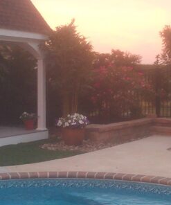 Nearly Natural 7ft. Big Bamboo Artificial Tree 84 in 44 71FPyBxGNNL