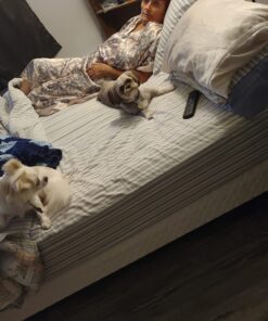 Milk-Bone Soft & Chewy Dog Treats, Chicken, 25 Ounce Original 25 Ounce (Pack of 1) 33 71FSIwDKTEL 2