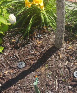 smart spring Tree Watering Stake Large for Trees, Bushes, shrubs, Irrigation Stake 8 inches (3) 3 10 71FSgQqucWL