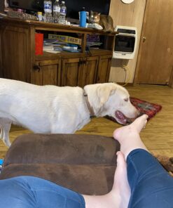 Activate II Flea and Tick Prevention for Dogs | 4 Count | Extra Large Dogs 55+ lbs | Topical Drops | 4 Months Flea Treatment 37 71FToRoIXgL