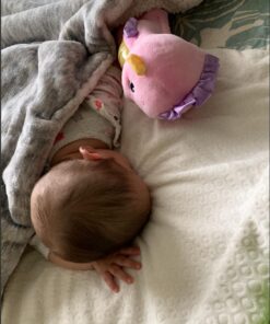 Fisher-Price Musical Baby Toy, Soothe & Glow Seahorse, Plush Sound Machine With Lights & Volume Control For Newborns, Pink Pink Easy-to-Open Packaging 28 71FZKa8FNvL